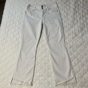 CAbi Pants Hi Lo Crop